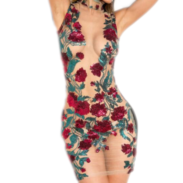 Rose Sequins Sheer Mesh Bodycon Mini Dress Women