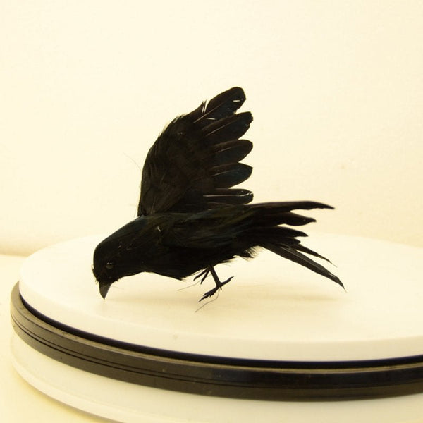 Simulate Black Crow Shape Decorative Prop For Halloween Party Decorations