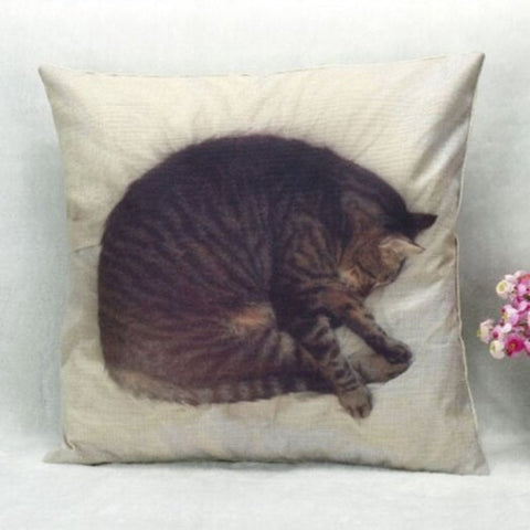 Sleeping Cat Pattern Square Shape Pillow Casewithout Inner