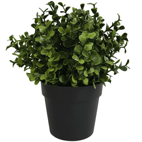 Small Potted Artificial Buxus Plant Uv Resistant 20Cm