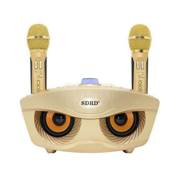 Smart Wireless Karaoke Set Microphone Audio 2 In 1 Reverb Multi Function Mixer Amplifier Karaoke Microphones