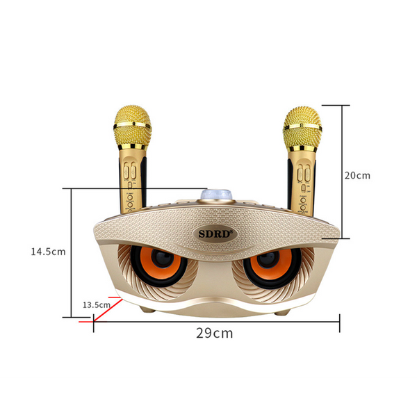 Smart Wireless Karaoke Set Microphone Audio 2 In 1 Reverb Multi Function Mixer Amplifier Karaoke Microphones