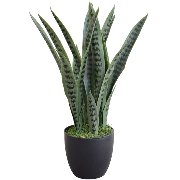 Artificial Snake Plant Uv Resistant 60Cm Artificial Plants