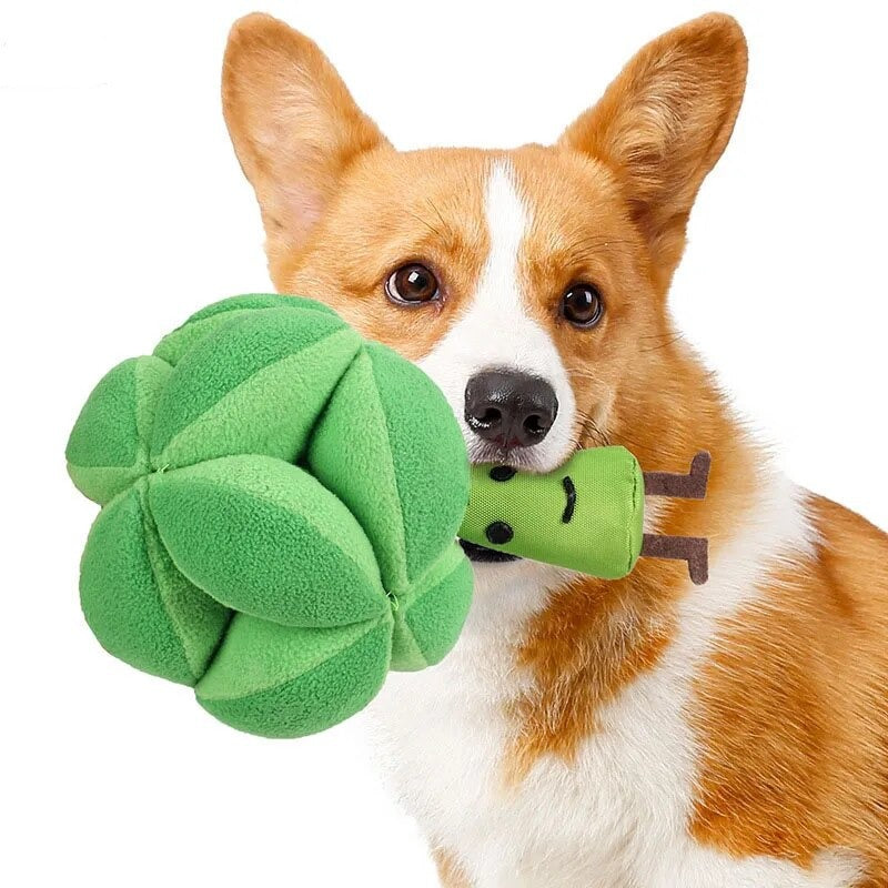 Snuffle Broccoli Dog Puzzle Toys Increase Iq Slow Dispensing Feeder Pet Cat Dog Snuffle Mats