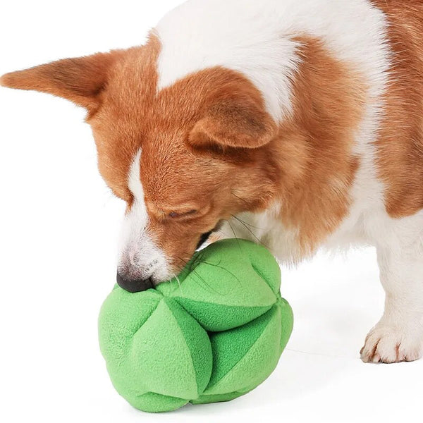 Snuffle Broccoli Dog Puzzle Toys Increase Iq Slow Dispensing Feeder Pet Cat Training Games Feeding Food Intelligence
