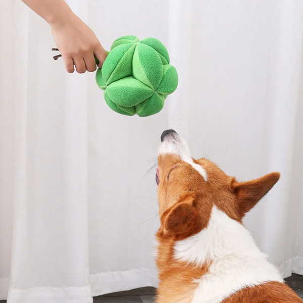 Snuffle Broccoli Dog Puzzle Toys Increase Iq Slow Dispensing Feeder Pet Cat Dog Snuffle Mats