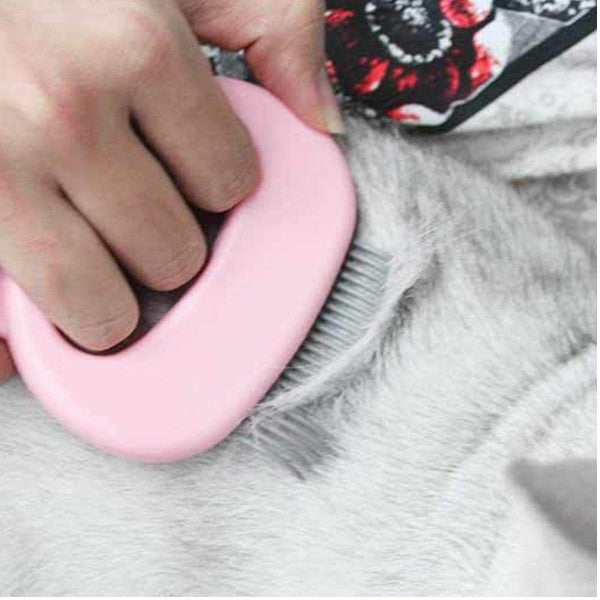 Special Comb For Pet Cat Shell To Remove Floating Hair And Blue