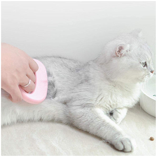 Special Comb For Pet Cat Shell To Remove Floating Hair And Blue