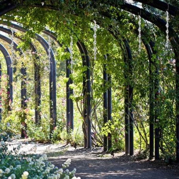 Spiral Reflective Guard Windproof Twist Wire Safe Bird Repellent Tool 12Pcs Silver Other Weed & Pest Control