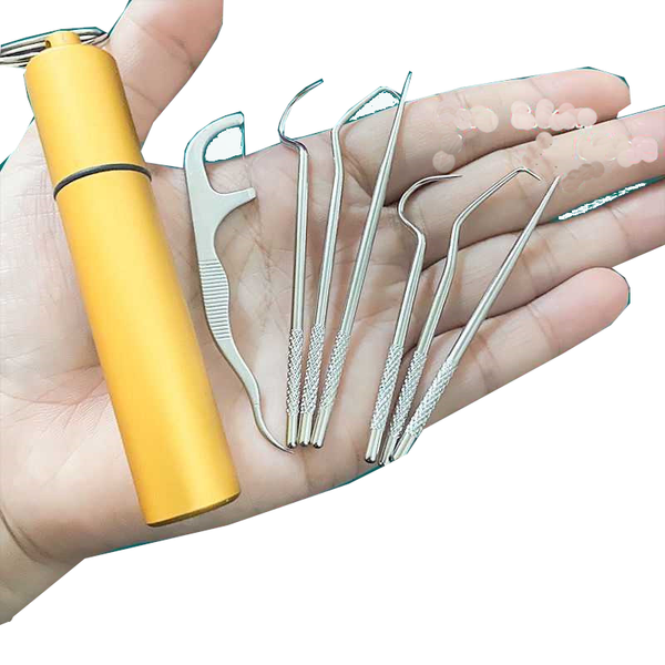 Toothpick Dispensers Stainless Steel Toothpick 304 Household Portable Cleaning Tool Set