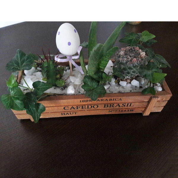 Succulent Plants Flowerpot Rectangular Planter Wood Storage Box Deep Brown Baskets Pots Window Boxes