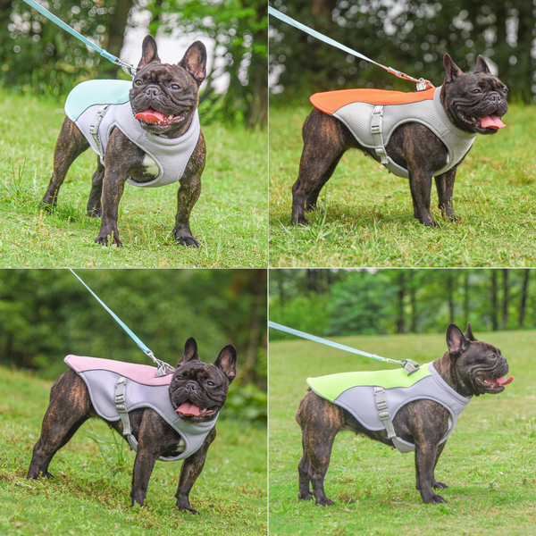 Summer Pet Dog Breathable Cooling Vest Harness Dog Clothing & Shoes