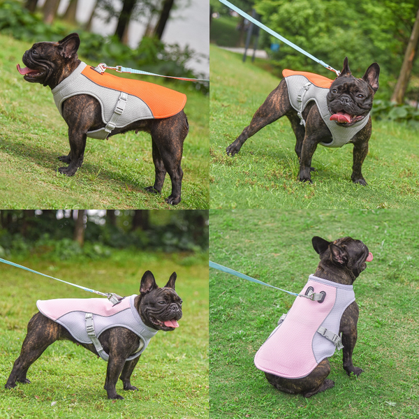 Summer Pet Dog Breathable Cooling Vest Harness Dog Clothing & Shoes