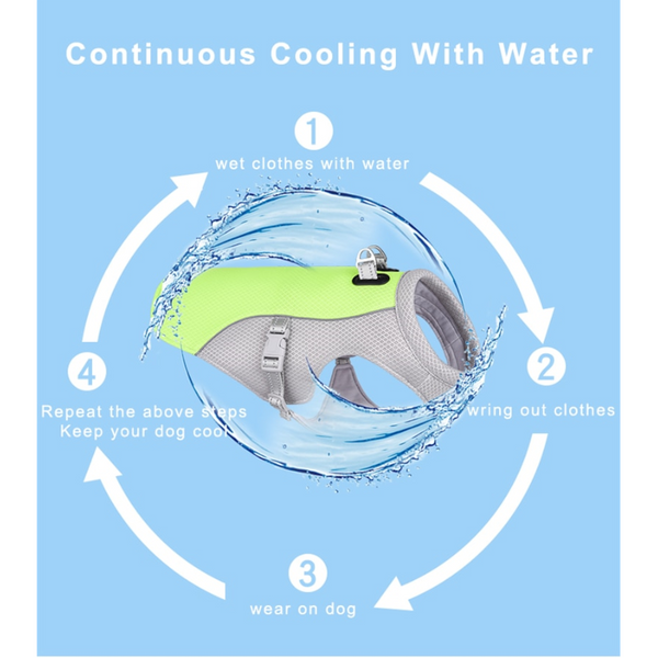 Summer Pet Dog Breathable Cooling Vest Harness Dog Clothing & Shoes
