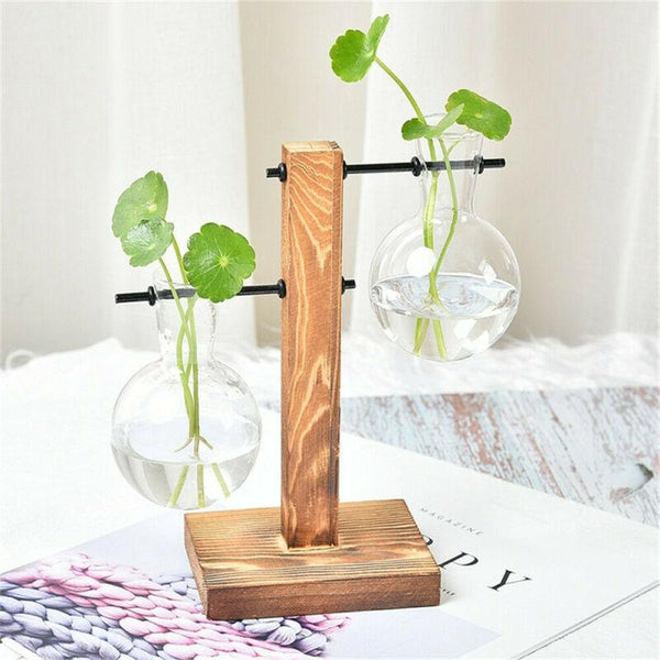 Duo Terrarium Vase Indoor Plants Decor Vases
