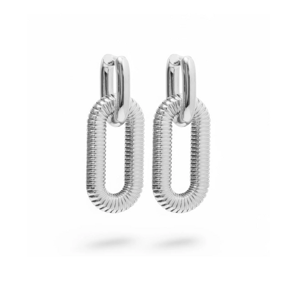 Titanium Steel Dangle Earrings