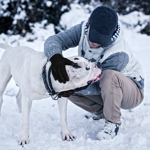 Touchscreen Gloves Water Resistant Gloves & Mittens