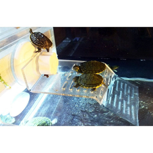 Transparent Tortoise Crawler Roof Terrace Pool Floating Island Dorsal Bask Platform Aquarium Decoration Large Length 25 Width 20Cm With Suction Cups R