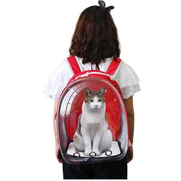 Transparent Pet Carrier Backpack For Cat Kitten Doggie Puppy