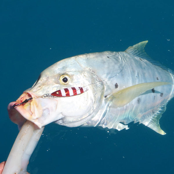 Swimerz 1/0 Single Assist 10 Pack Hooks