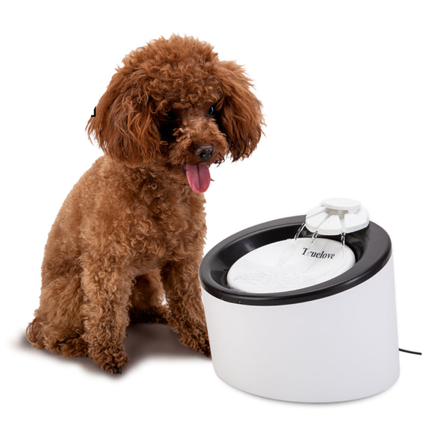 True Love Automatic Water Dispenser Dog Automatic Feeders
