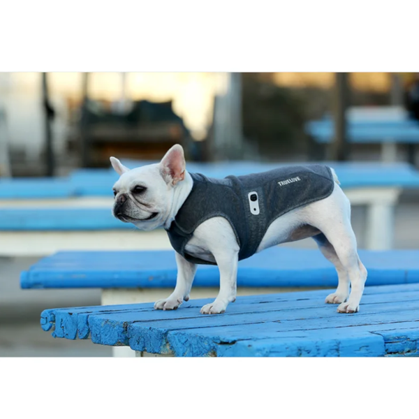 True Love Coat Charcoal 3Xs Dog Clothing & Shoes