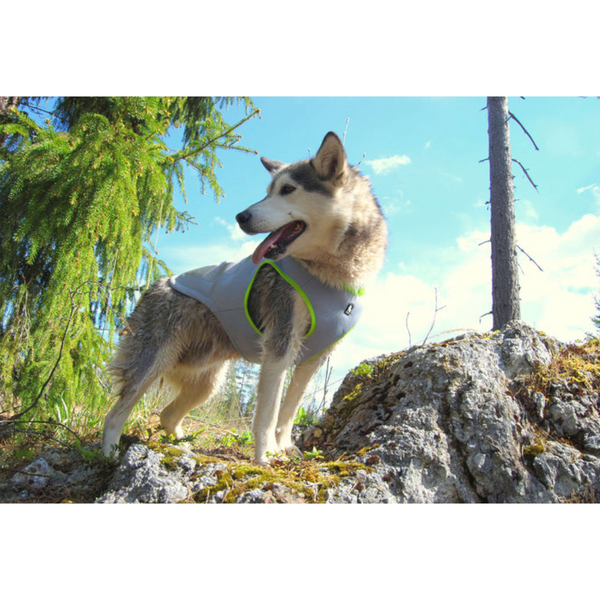 True Love Cooling Vest Yellow Xs Harnesses