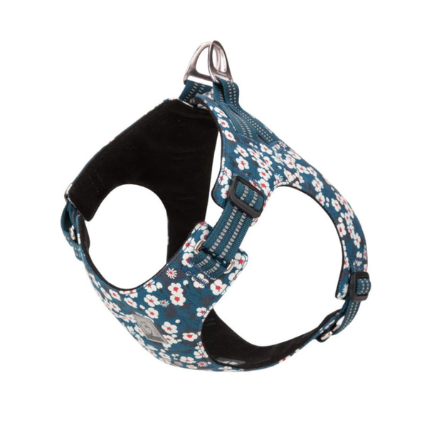 True Love Floral Doggy Harness Blue 3Xs Harnesses