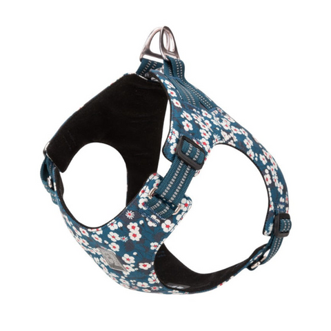 True Love Floral Doggy Harness Blue S Harnesses