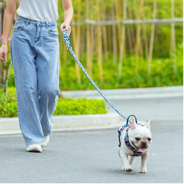 True Love Floral Multi Handle Dog Lead Blue S Leads & Head Collars