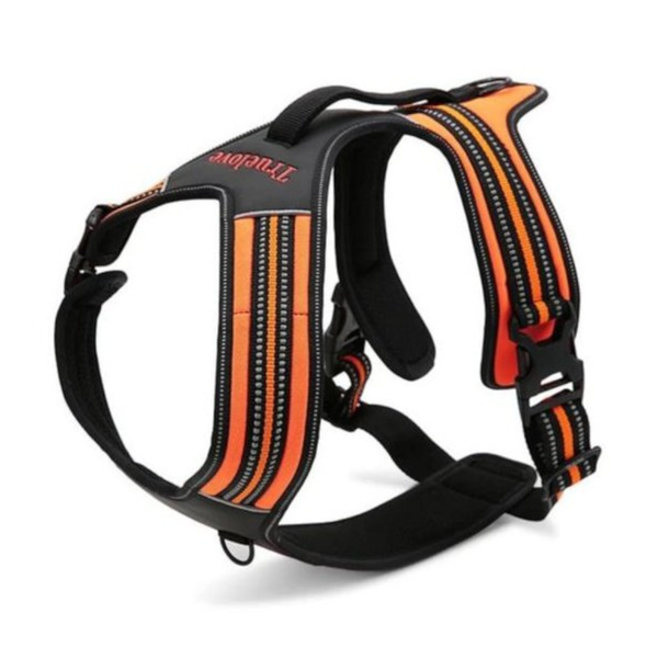 True Love Heavy Duty Sports Dog Harness Harnesses