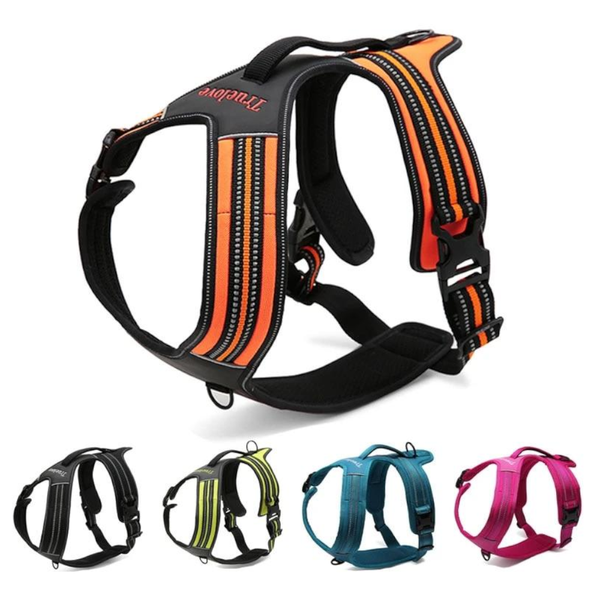 True Love Heavy Duty Sports Dog Harness Harnesses
