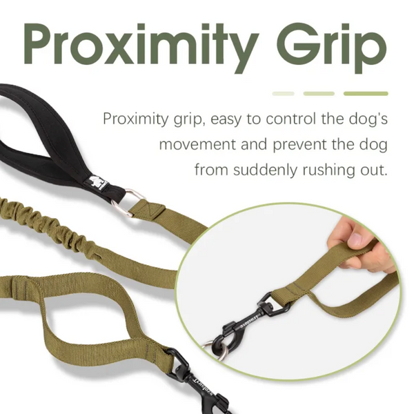 True Love Military Dog Leash 2.5 Cm Width And 1.4 Length Purple Leads & Head Collars