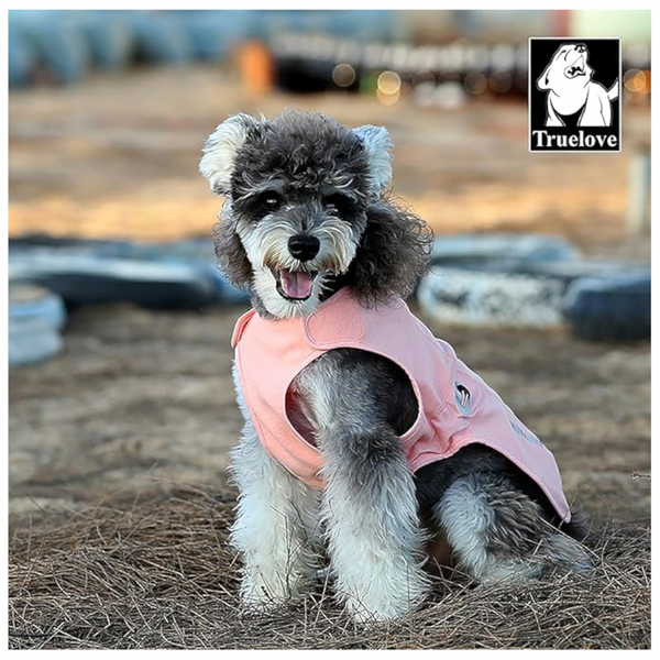 True Love Dog Coat Dusty Pink Xs Harnesses