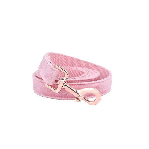 Pink Candy Velvet Dog Collar And Leash Set
