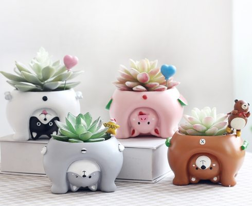 Mini Novelty Animal Succulent Plant Pots Baskets Pots Window Boxes