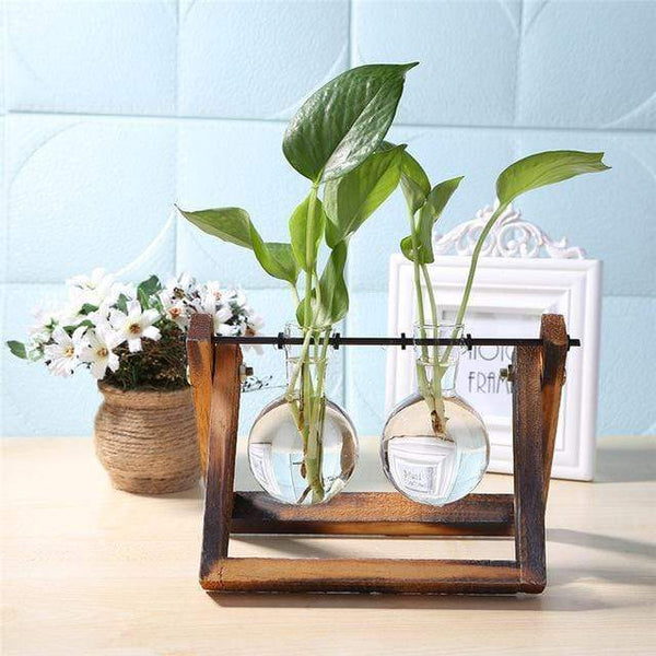 Glass Wood Hydroponics Vase Planter Desktop Terrarium Baskets Pots Window Boxes