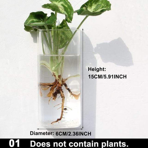 Hydroponic Glass Pot Indoor Garden Decor Wall Art Vases