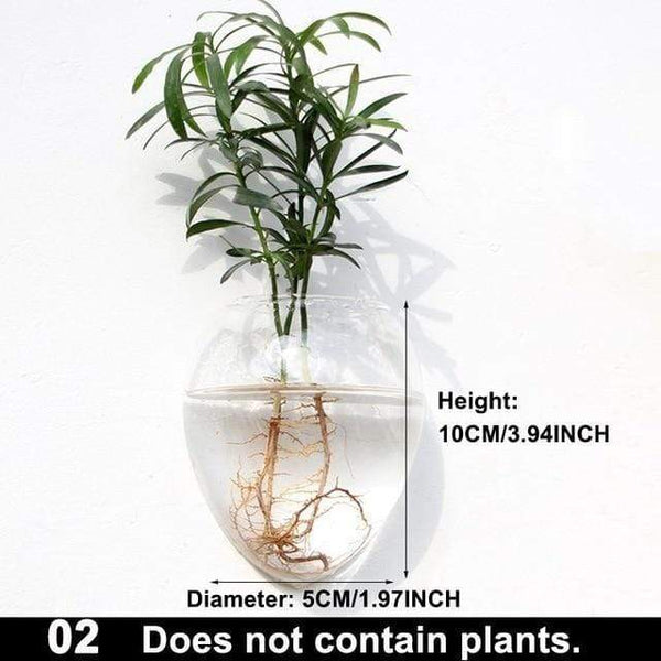 Hydroponic Glass Pot Indoor Garden Decor Wall Art Vases