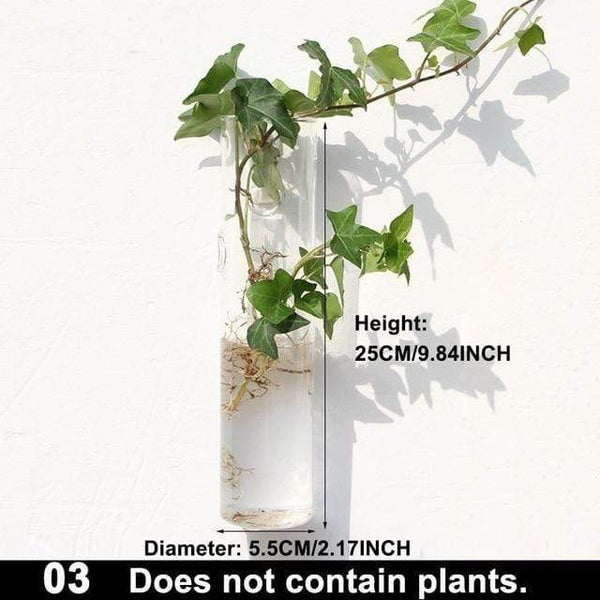 Hydroponic Glass Pot Indoor Garden Decor Wall Art Vases