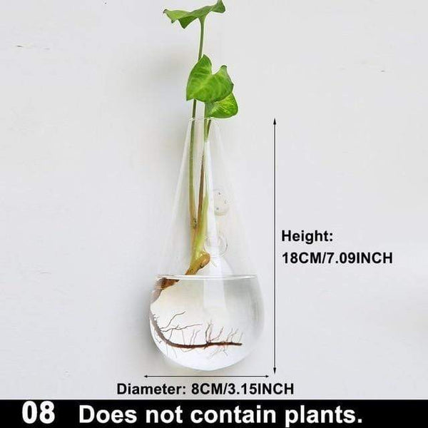 Hydroponic Glass Pot Indoor Garden Decor Wall Art Vases