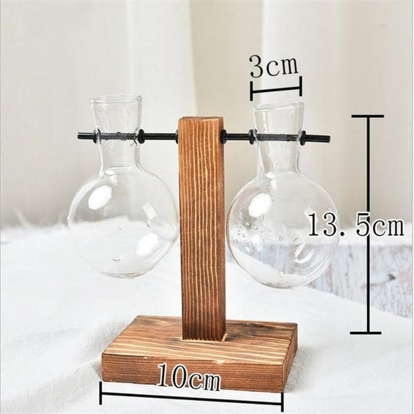 Duo Terrarium Vase Indoor Plants Decor Vases