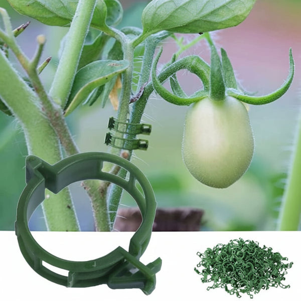100Pcs Plant Support Clips Tomato Ties Twine Vine Trellis Cages Climbing Plants Vegetables 2.5Cm Plant Ties & Supports