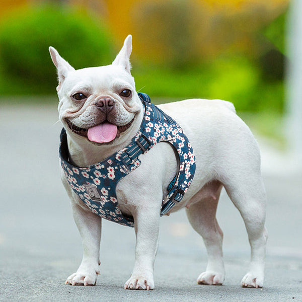 Floral Doggy Harness Saxony Blue