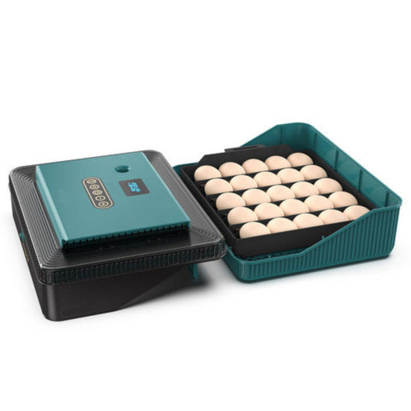 Digital Led Fully Automatic 25 Egg Incubator Hatch Turning Chicken Eggs Poultry Incubators