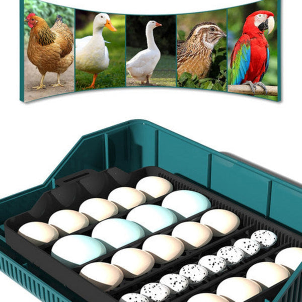 Digital Led Fully Automatic 25 Egg Incubator Hatch Turning Chicken Eggs Poultry Incubators