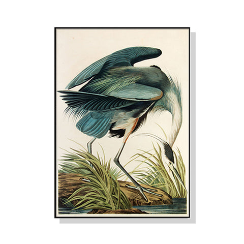 70Cmx100cm Great Blue Heron By John James Audubon Black Frame Canvas Wall Art