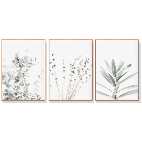 Artime Wall 80Cmx120cm Lavender Eucalyptus 3 Sets Wood Frame Canvas Posters & Prints
