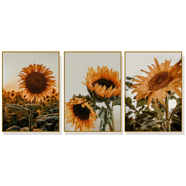 Artime Wall 60Cmx90cm Sunflower 3 Sets Gold Frame Canvas Posters & Prints