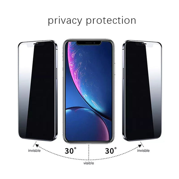 Voctus For Iphone 14 Pro Privacy Temple Glass Screen Protector 2Pcs (Raw) Vt-Sp-114-Dw
